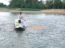 Kinh nghiệm từ 3 hợp tác xã mạnh ở TP Cần Thơ