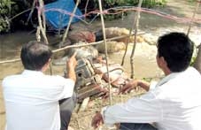 Bơm nước bằng điện:<br>Tiết kiệm tiền tỉ