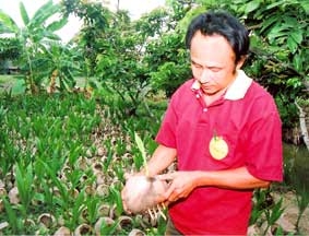 Người chấp cánh cho thương hiệu dừa sáp