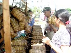 Hàng Tết "made in... miền Tây"