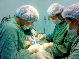 Tổ chức khám sức khỏe định kỳ cho cán bộ,
công chức, viên chức, công nhân lao động