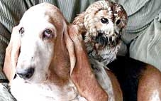 Tình bạn lạ lùng