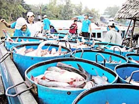 Đầu tư hệ thống kho lạnh tồn trữ hàng nông thủy sản