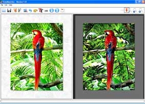 Tạo ảnh nghệ thuật từ ảnh kỹ thuật số
