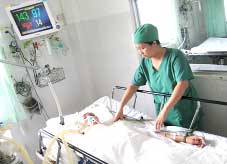 Bị rắn cắn, hãy đến Bệnh viện 121 !