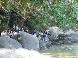 "Nóng" gói tua tự túc