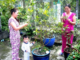 Ấm áp mùa xuân