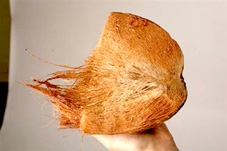 Phụ tùng ô tô từ xơ dừa