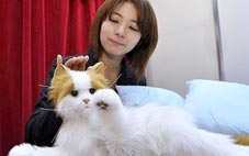 Robot thú cưng “đắt như tôm tươi” ở Nhật