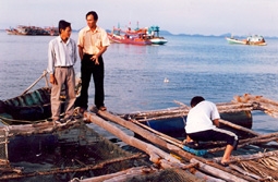 Nỗi lo con giống và môi trường