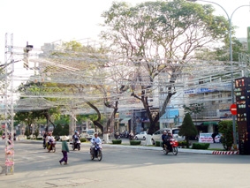Chỉnh trang đô thị đón Tết