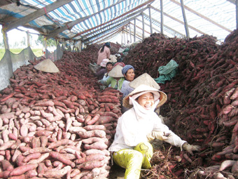 Ba Hạo đương thời...