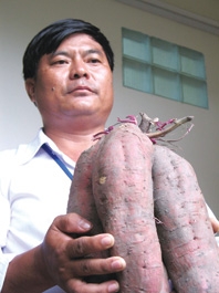 Ba Hạo đương thời...