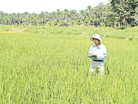 "Chinh phục" lục địa đen