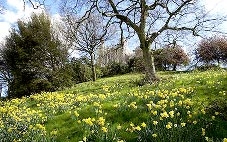 Xuân năm nay đến sớm hơn mọi năm