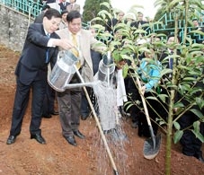 Chủ tịch nước Nguyễn Minh Triết phát động Tết trồng cây tại tỉnh Hòa Bình