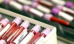 Dân Nhật coi nhóm máu là “tối thượng”!