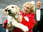 Bỏ ra hơn 2,7 tỉ đồng để chó chết “sinh” con