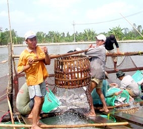 Doanh nghiệp lại lo nguồn nguyên liệu