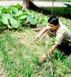 Bản lĩnh anh lính quân bưu