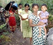 Đánh bom liều chết tại Sri Lanka làm hơn 100 người thương vong