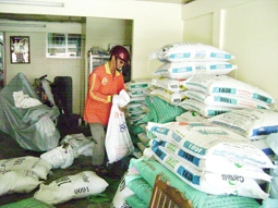 Giá thức ăn gia súc giảm, người nuôi heo vẫn lo