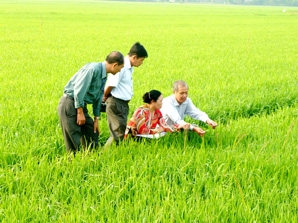 Khảo sát, kiểm tra tình hình sản xuất nông nghiệp ở huyện Phong Điền, Cờ Đỏ