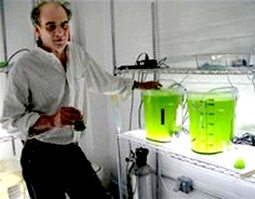 Tảo có thể cứu thế giới?