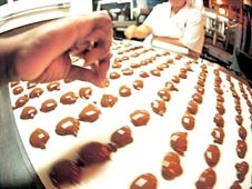 Thế giới sẽ thiếu vắng sô-cô-la?