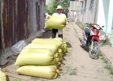 Sôi động thị trường lúa gạo ĐBSCL