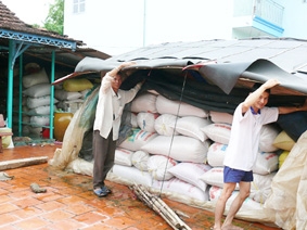 Kho trữ lúa gạo góp phần chủ động trong an ninh lương thực và xuất khẩu