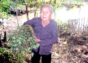 Vất vả mưu sinh ở tuổi xế chiều