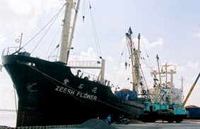 Bốc xếp 500.000 tấn hàng hóa