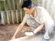 Triệu phú “ba ba”