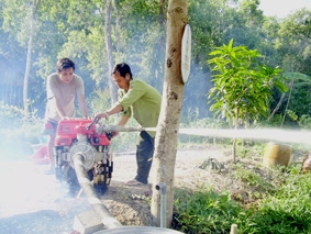 Vì màu xanh cây rừng!