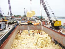 Chợ gạo Thốt Nốt sẽ góp phần đảm bảo tiêu thụ lúa gạo, nâng cao lợi nhuận cho nhà nông ở ĐBSCL