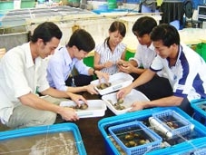 Đồng hành cùng sinh viên nghiên cứu khoa học