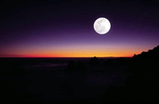 101 câu hỏi hay nhất mọi thời đại <i>(Kỳ 6)</i>