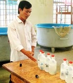 “Thạc sĩ cá hô”