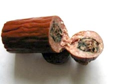 Xúc xích nhân... chuột chết