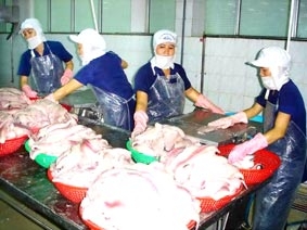 Cơ hội khẳng định thương hiệu sản phẩm cá tra