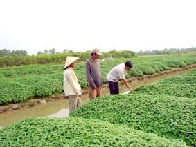 Mở rộng dân chủ, tạo niềm tin trong dân