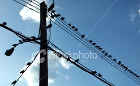 101 Câu hỏi hay nhất mọi thời đại(Kỳ 9)