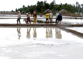 Trà Vinh: Diêm dân lo lắng hiện tượng nứt đất 
trên ruộng muối