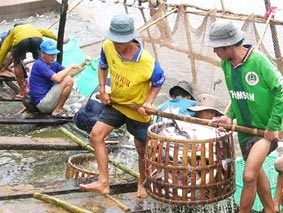 Xu hướng tất yếu !