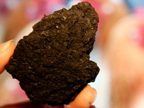 Than sinh học có thể bảo vệ Trái đất?