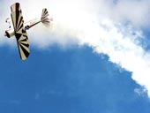 Máy bay... tự bay