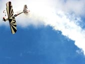 Máy bay... tự bay