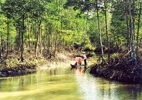 Góp phần giảm nhẹ thiên tai