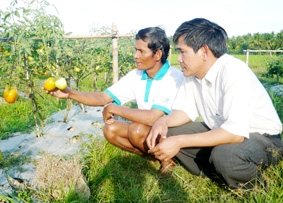 Khi nhà nông thuê kỹ thuật